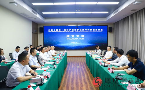 中新重庆知识产权保护及技术转移服务联盟成立，为两地创新合作搭建新通道